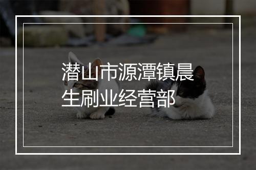 潜山市源潭镇晨生刷业经营部