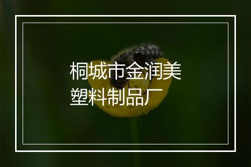 桐城市金润美塑料制品厂