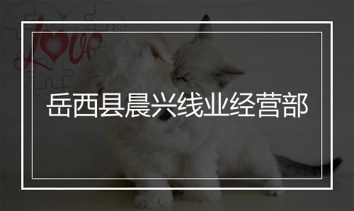 岳西县晨兴线业经营部