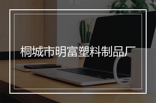 桐城市明富塑料制品厂