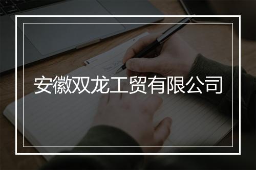 安徽双龙工贸有限公司