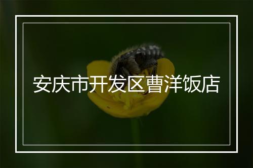 安庆市开发区曹洋饭店