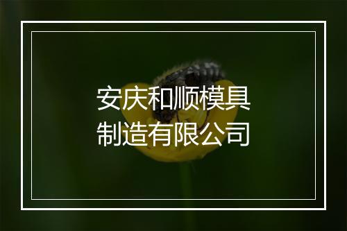 安庆和顺模具制造有限公司
