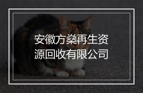 安徽方燊再生资源回收有限公司