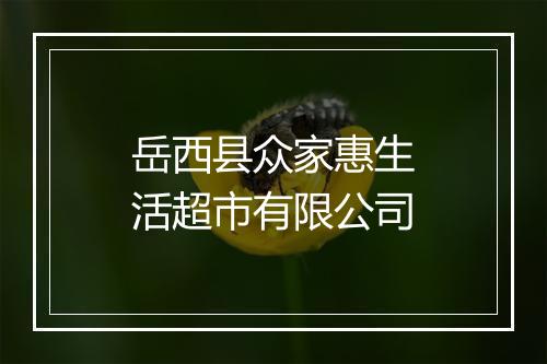 岳西县众家惠生活超市有限公司