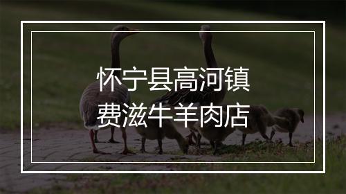 怀宁县高河镇费滋牛羊肉店