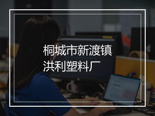 桐城市新渡镇洪利塑料厂