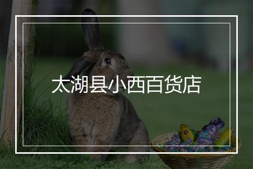 太湖县小西百货店