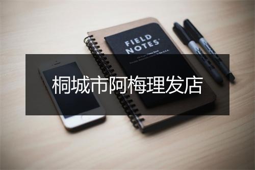 桐城市阿梅理发店
