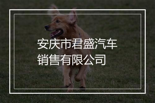 安庆市君盛汽车销售有限公司