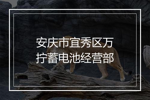 安庆市宜秀区万拧蓄电池经营部