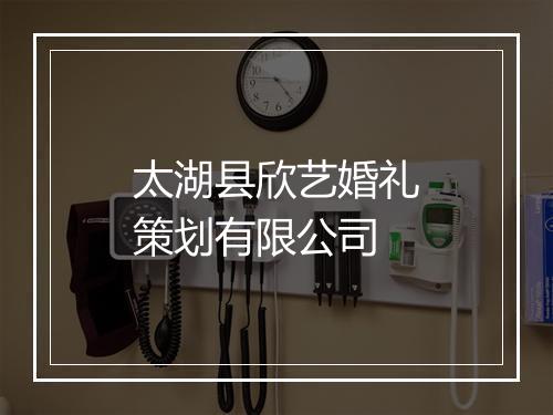 太湖县欣艺婚礼策划有限公司