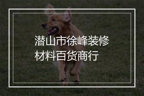 潜山市徐峰装修材料百货商行
