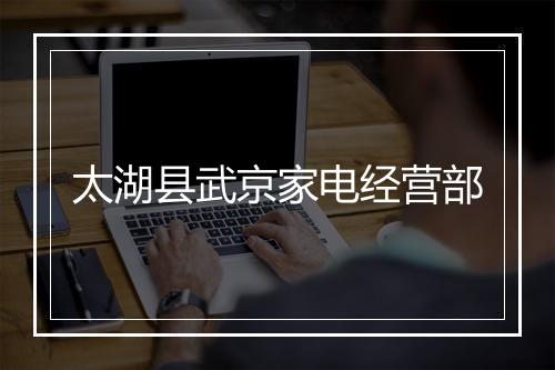 太湖县武京家电经营部