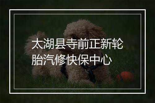 太湖县寺前正新轮胎汽修快保中心