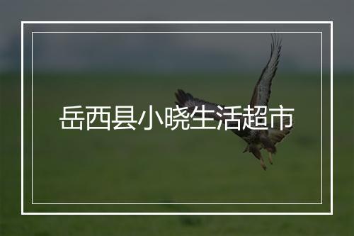 岳西县小晓生活超市