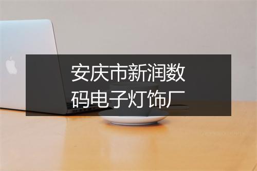 安庆市新润数码电子灯饰厂