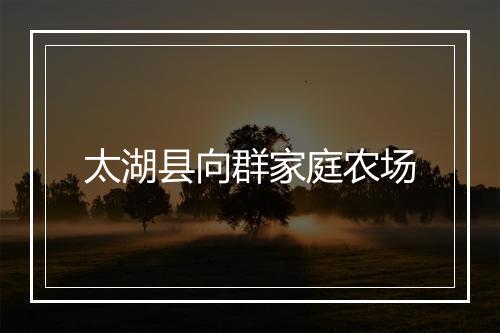 太湖县向群家庭农场