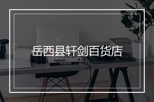 岳西县轩剑百货店