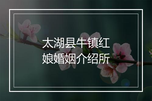太湖县牛镇红娘婚姻介绍所