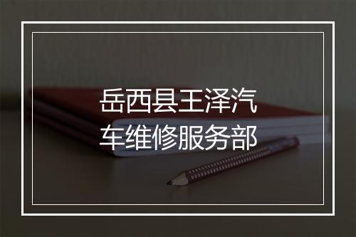 岳西县王泽汽车维修服务部