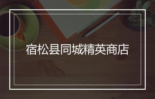 宿松县同城精英商店