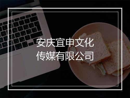 安庆宜申文化传媒有限公司
