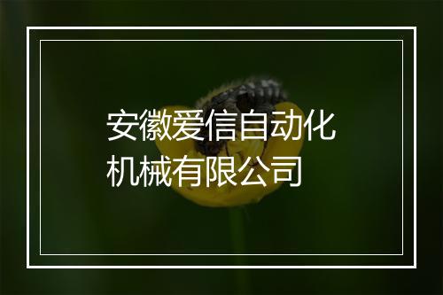 安徽爱信自动化机械有限公司