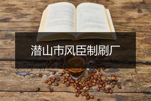 潜山市风臣制刷厂