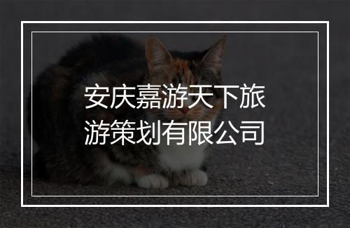 安庆嘉游天下旅游策划有限公司