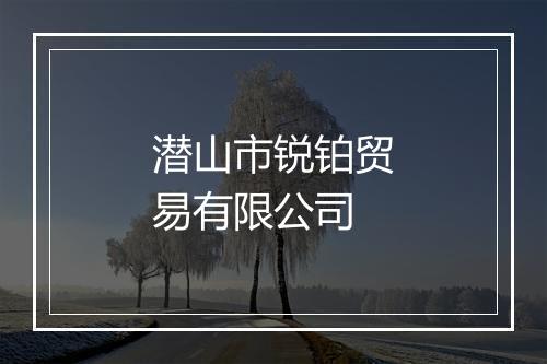 潜山市锐铂贸易有限公司