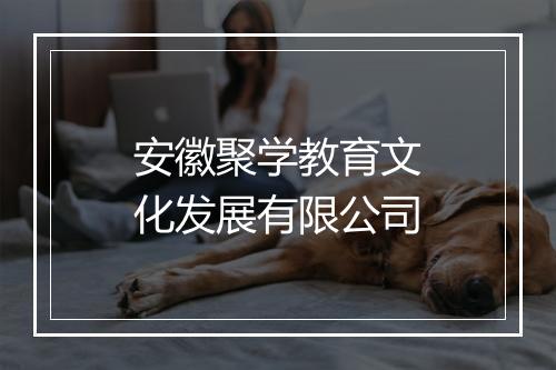 安徽聚学教育文化发展有限公司