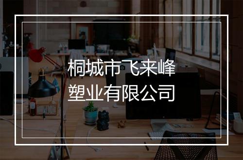 桐城市飞来峰塑业有限公司