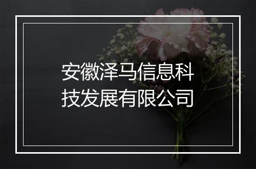 安徽泽马信息科技发展有限公司