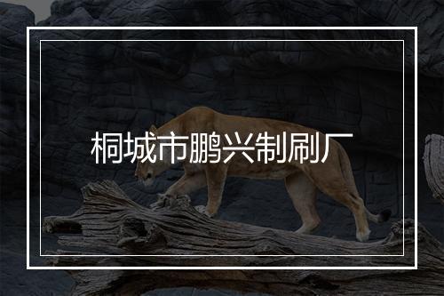 桐城市鹏兴制刷厂