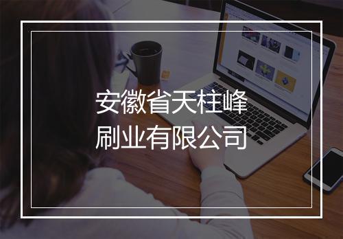 安徽省天柱峰刷业有限公司