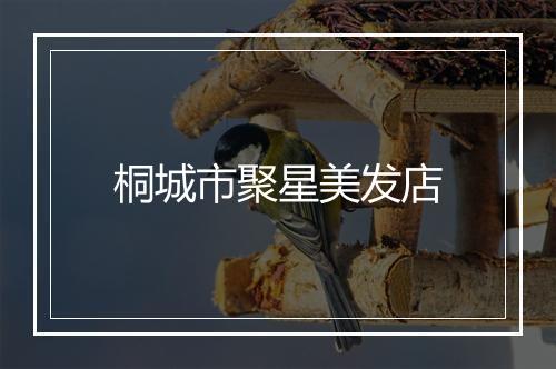 桐城市聚星美发店