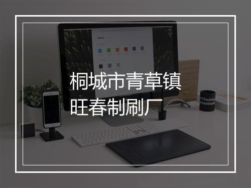 桐城市青草镇旺春制刷厂