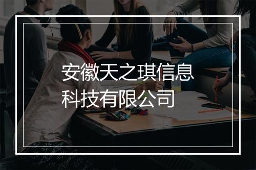 安徽天之琪信息科技有限公司