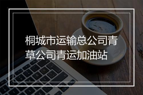 桐城市运输总公司青草公司青运加油站