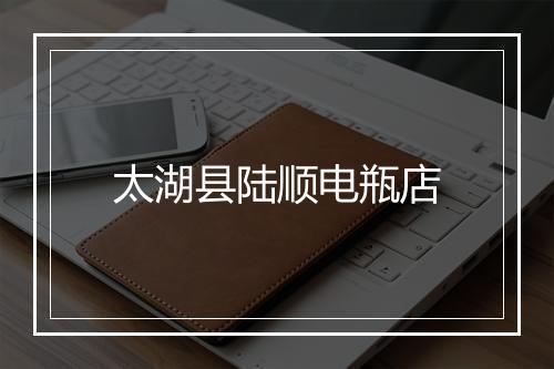 太湖县陆顺电瓶店