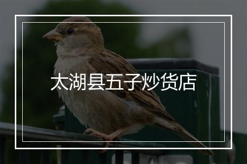 太湖县五子炒货店