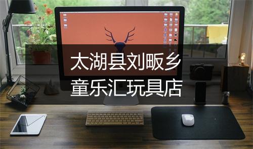 太湖县刘畈乡童乐汇玩具店