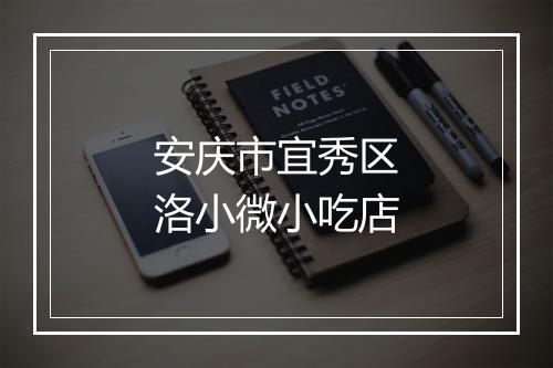 安庆市宜秀区洛小微小吃店