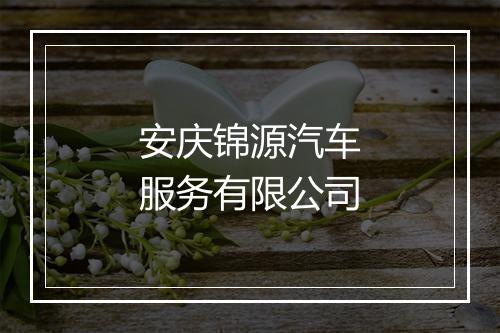 安庆锦源汽车服务有限公司