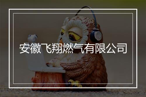 安徽飞翔燃气有限公司