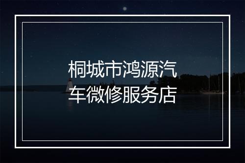 桐城市鸿源汽车微修服务店