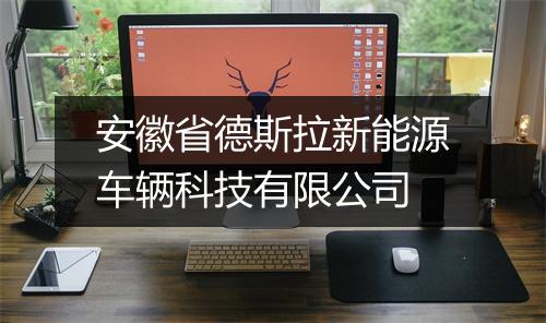 安徽省德斯拉新能源车辆科技有限公司
