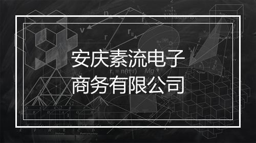 安庆素流电子商务有限公司