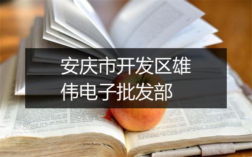 安庆市开发区雄伟电子批发部
